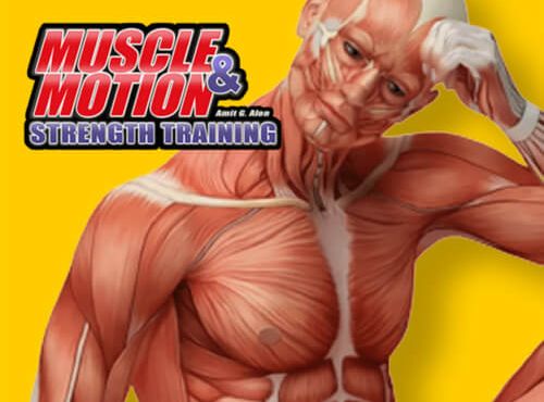 Muscle & Motion