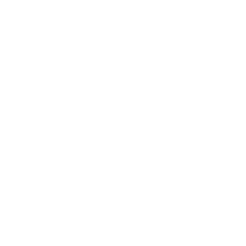 logo ametos